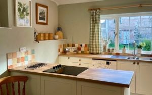 Aldana Kitchen in Porcelain by Walrow Kitchens